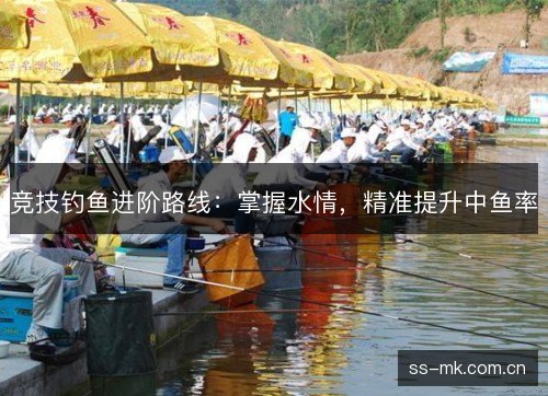 竞技钓鱼进阶路线:掌握水情,精准提升中鱼率 竞技钓鱼进阶路线:掌握水情,精准提升中鱼率