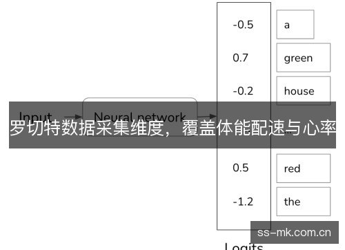 罗切特数据采集维度，覆盖体能配速与心率